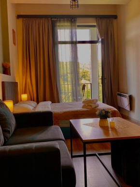 Apartment #102 in aparthotel